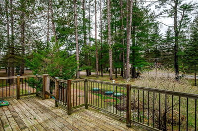 2006 Bay Lake Rd, Bancroft -  image-0-2