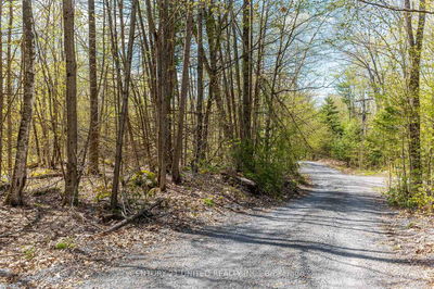 1030 Birchview Rd, Douro-Dummer - Douro-Dummer image-0-1