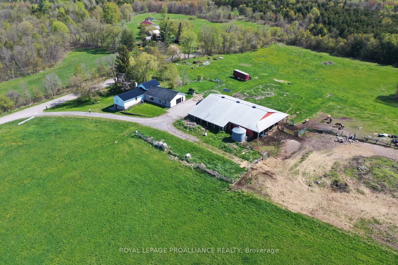 Listing Image 12