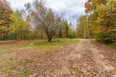 1600 BOBCAYGEON Rd, Minden Hills - Minden image-0-2
