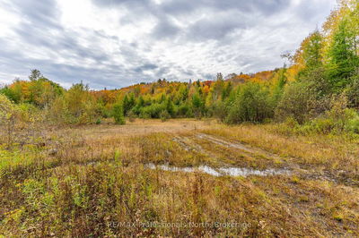 1600 BOBCAYGEON Rd, Minden Hills - Minden image-0-3
