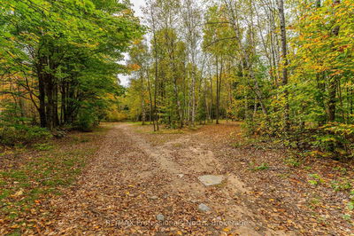 1600 BOBCAYGEON Rd, Minden Hills - Minden image-0-4