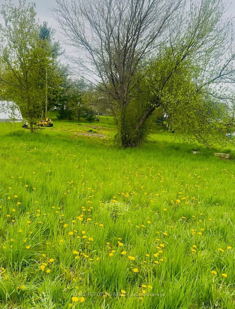 Lot 71 Dorland Dr, Napanee, K7R 3K7 | Image 2