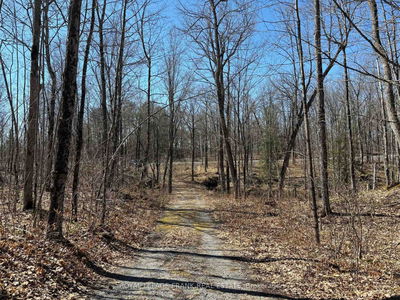 185 Julian Lake Rd, North Kawartha - North Kawartha