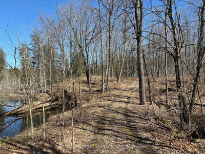 185 Julian Lake Rd, North Kawartha - North Kawartha image-0-1