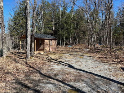 185 Julian Lake Rd, North Kawartha - North Kawartha image-0-4