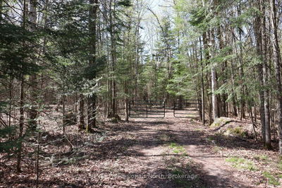  BETWEEN LAKES Tr, Minden Hills - Minden image-0-2