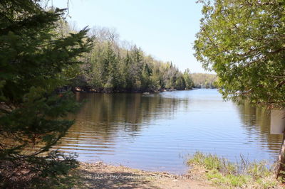  BETWEEN LAKES Tr, Minden Hills - Minden image-0-3