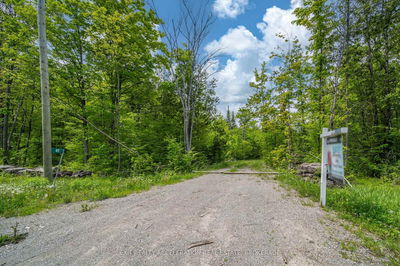 41 Stonehedge Rd, Stone Mills - Stone Mills image-0-2