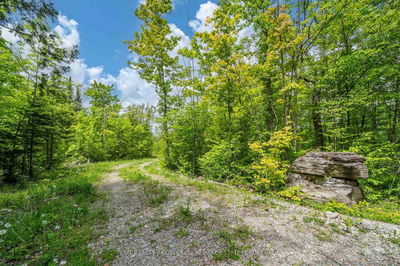 41 Stonehedge Rd, Stone Mills - Stone Mills image-0-3