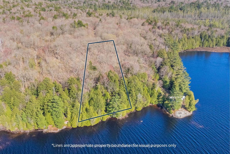 936B Bear Lake Rd, McMurrich/Monteith - Bear Lake image-0-0
