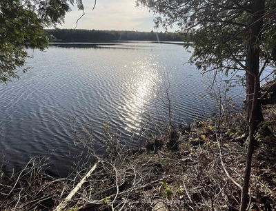 936B Bear Lake Rd, McMurrich/Monteith - Bear Lake image-0-4