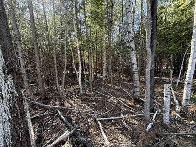 Lot 3 Watsons Corners Rd, Lanark - Lanark Highlands (Dalhousie) Twp image-0-3