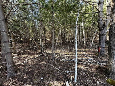 Lot 2 Watsons Corners Rd, Lanark - Lanark Highlands (Dalhousie) Twp image-0-4