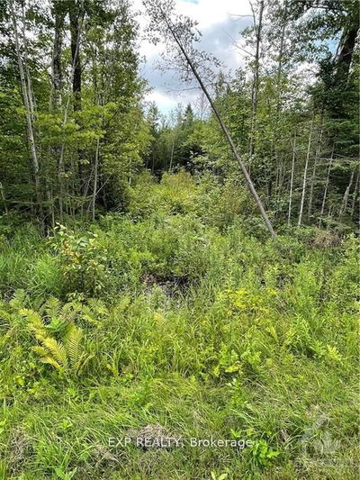 00 A1 CONCESSION ROAD 4 Rd, Alfred and Plantagenet - Plantagenet
