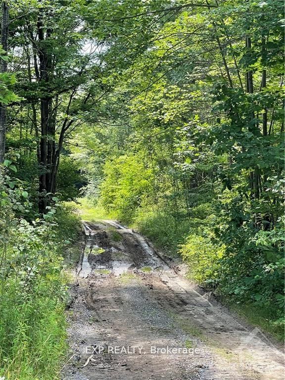 00 B CONCESSION ROAD 4 Rd, Alfred and Plantagenet - Plantagenet image-0-0