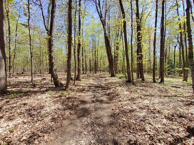  Totem Ranch Rd, Edwardsburgh/Cardinal - Edwardsburgh/Cardinal Twp image-0-4
