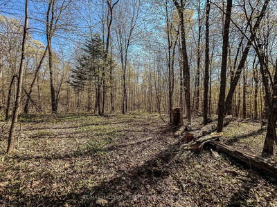 2494 Hadlington Rd, Highlands East - Monmouth