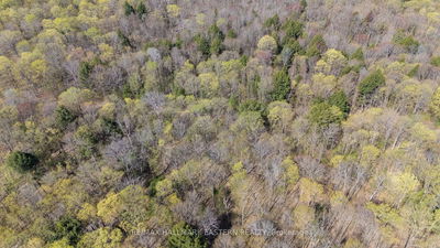 2494 Hadlington Rd, Highlands East - Monmouth image-0-3