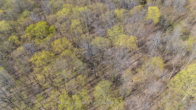 2494 Hadlington Rd, Highlands East - Monmouth image-0-4