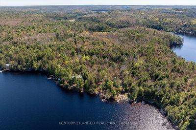 557 Wao Catchacoma Lake, Trent Lakes - Trent Lakes image-0-4