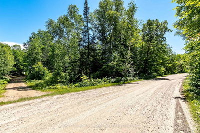 Lot 1 Emsdale Lake Rd, Perry - Perry image-0-4