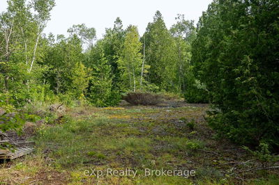 LT 36 36-37, CONC 6-7, Northern Bruce Peninsula - Northern Bruce Peninsula image-0-4