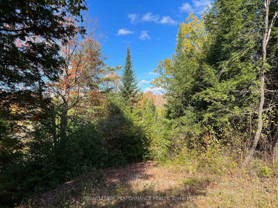 304 LACOURSE Lane, White Lake - Lanark Highlands (Darling) Twp image-0-3