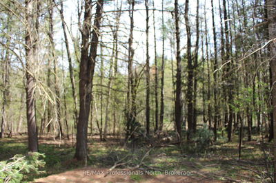  Ingoldsby Rd, Minden Hills - Minden image-0-3