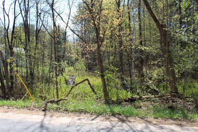  Ingoldsby Rd, Minden Hills - Minden image-0-4