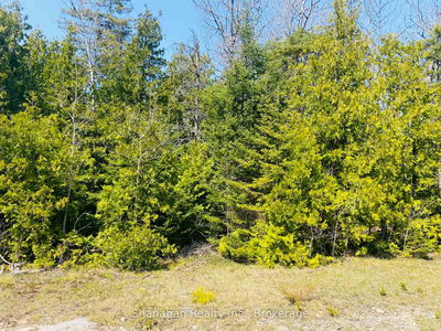 LOT 11 Norburn Rd, Northern Bruce Peninsula - Northern Bruce Peninsula image-0-1