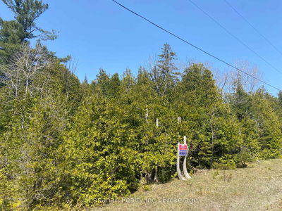 LOT 11 Norburn Rd, Northern Bruce Peninsula - Northern Bruce Peninsula image-0-2