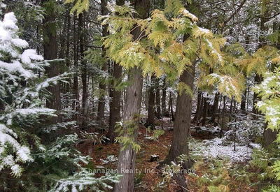 LOT 11 Norburn Rd, Northern Bruce Peninsula - Northern Bruce Peninsula image-0-3