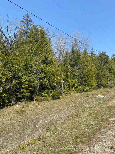 LOT 11 Norburn Rd, Northern Bruce Peninsula - Northern Bruce Peninsula image-0-4