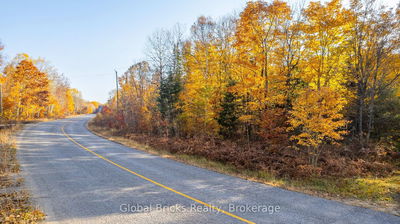  Kawagama Lake Rd, Algonquin Highlands - Sherborne image-0-1