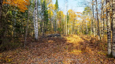  Kawagama Lake Rd, Algonquin Highlands - Sherborne image-0-3