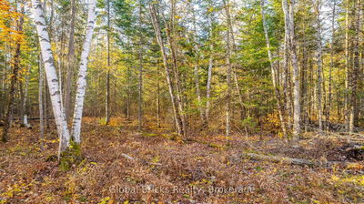  Kawagama Lake Rd, Algonquin Highlands - Sherborne image-0-4