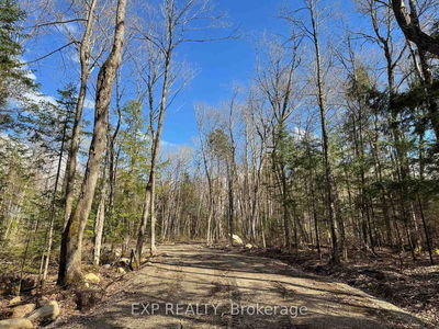 Lot 2 Lakewoods Dr, Barry's Bay - Madawaska Valley image-0-2