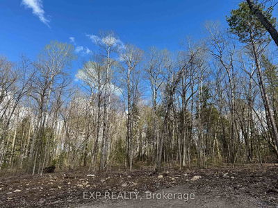 Lot 2 Lakewoods Dr, Barry's Bay - Madawaska Valley image-0-3