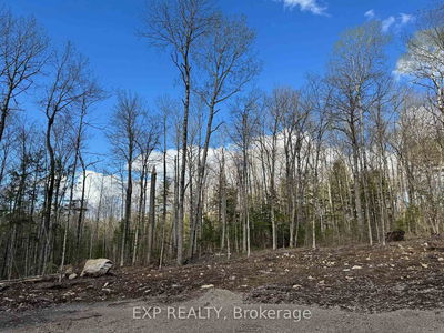 Lot 2 Lakewoods Dr, Barry's Bay - Madawaska Valley image-0-4