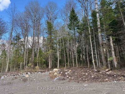 Lot 8 Lakewoods Dr, Barry's Bay - Madawaska Valley image-0-4