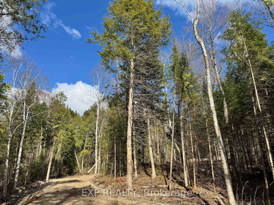 Lot 14 Lakewoods Dr, Barry's Bay - Madawaska Valley image-0-2