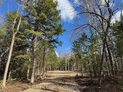 Lot 14 Lakewoods Dr, Barry's Bay - Madawaska Valley image-0-3