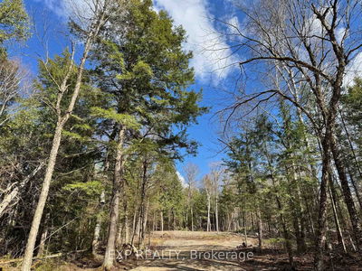 Lot 14 Lakewoods Dr, Barry's Bay - Madawaska Valley image-0-4