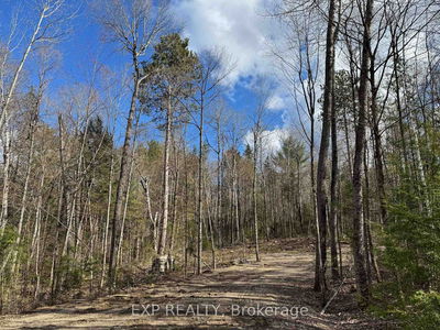 Lot 16 Lakewoods Dr, Barry's Bay - Madawaska Valley image-0-2