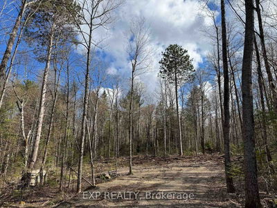 Lot 16 Lakewoods Dr, Barry's Bay - Madawaska Valley image-0-3