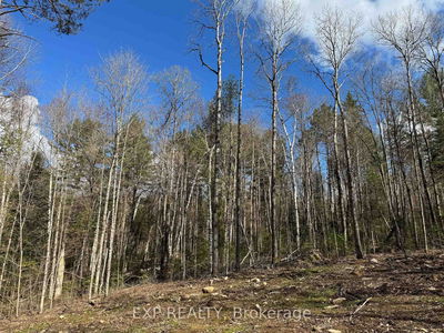 Lot 16 Lakewoods Dr, Barry's Bay - Madawaska Valley image-0-4