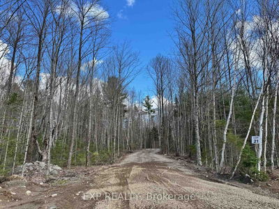 Lot 21 Lakewoods Dr, Barry's Bay - Madawaska Valley image-0-1