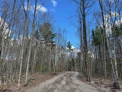 Lot 21 Lakewoods Dr, Barry's Bay - Madawaska Valley image-0-2