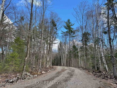 Lot 21 Lakewoods Dr, Barry's Bay - Madawaska Valley image-0-3